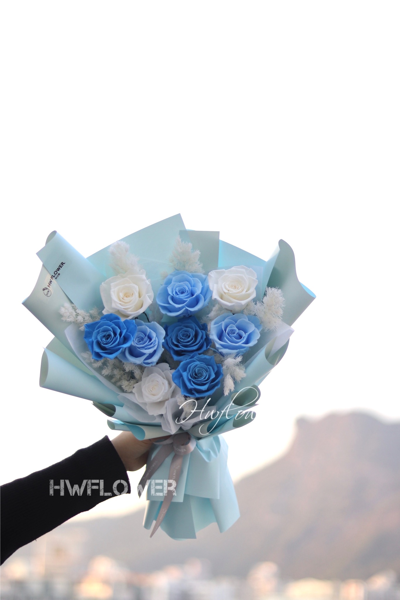 blue rose